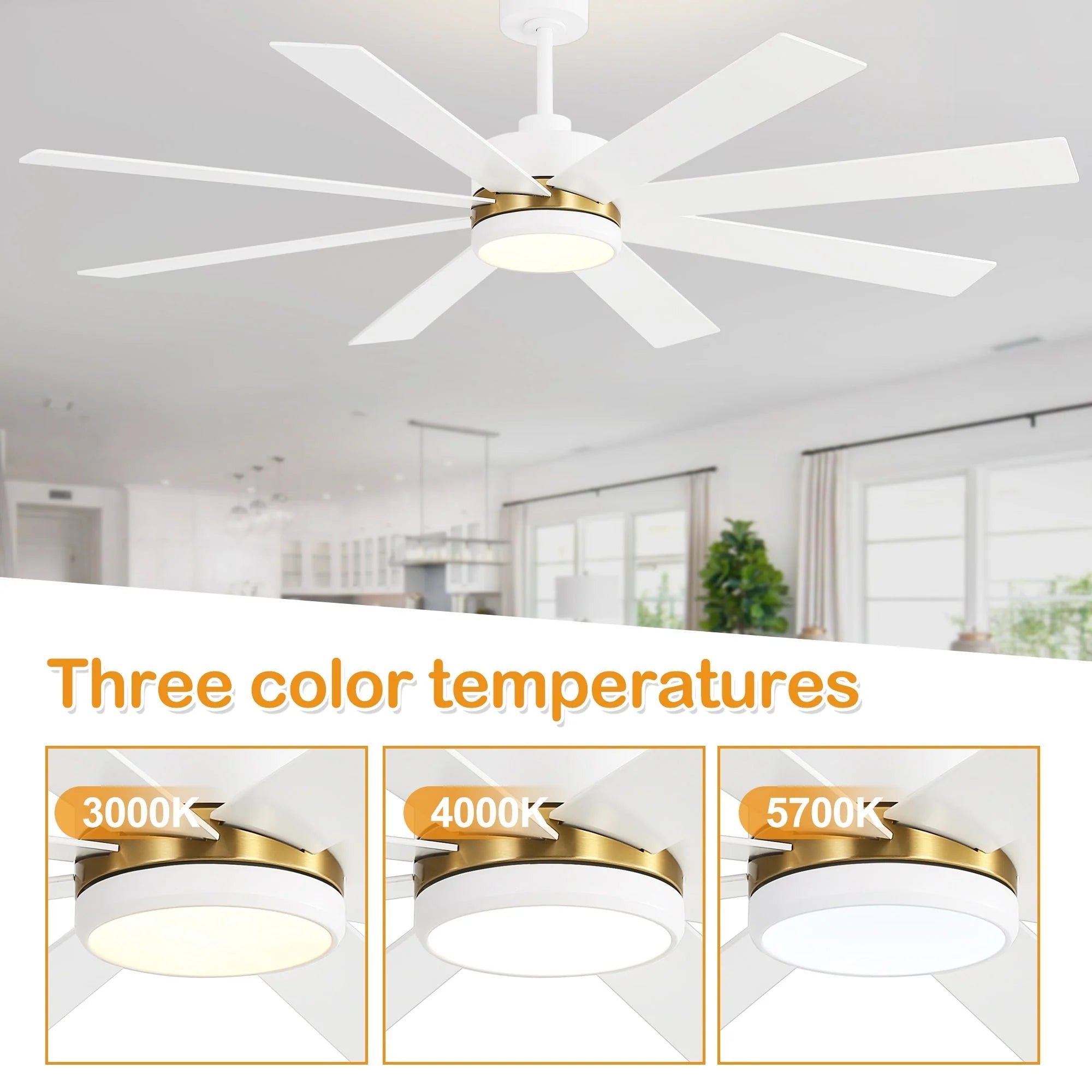 65 Inch 8-Blade Black LED Ceiling Fan with Light and Remote – Image 15