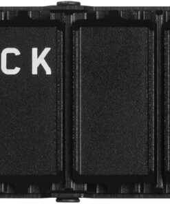 WD_BLACK SN850P 2 To PS5 SSD, Disque SSD interne, Lecture jusqu'à 7300 Mo/s, M.2 2280 PCIe NVMe, Carte d'extension PS5, Officielle pour et PS5 Consoles, avec dissipateur Thermique, Noir