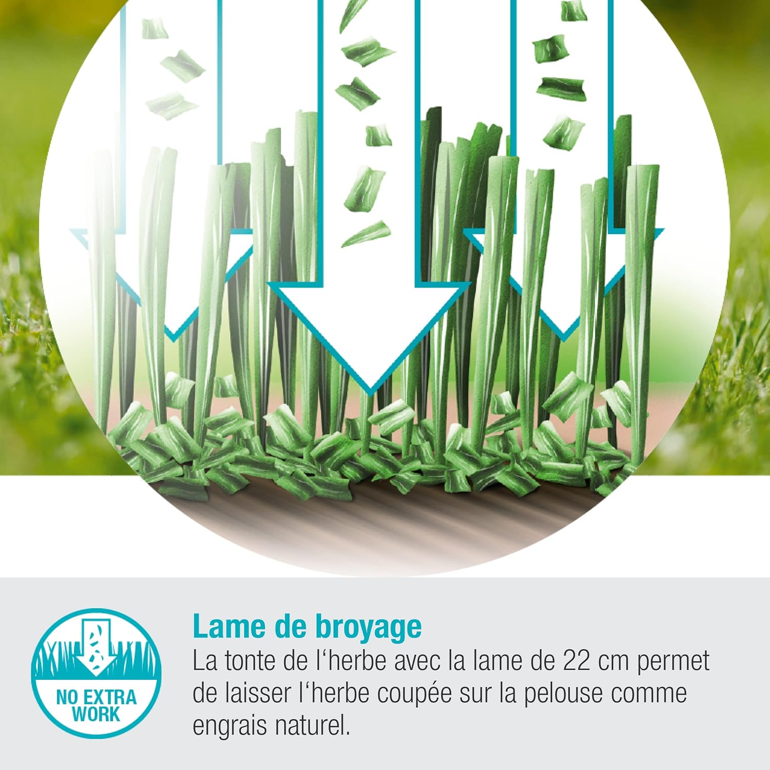 Set tondeuse à gazon sans fil HandyMower 22/18 V P4A Gardena, prêt à l’emploi : Tondeuse manuelle, pour pelouse jusqu’à 50 m², hauteur de coupe réglable, avec batterie 18 V P4A (14620-20) – Image 6