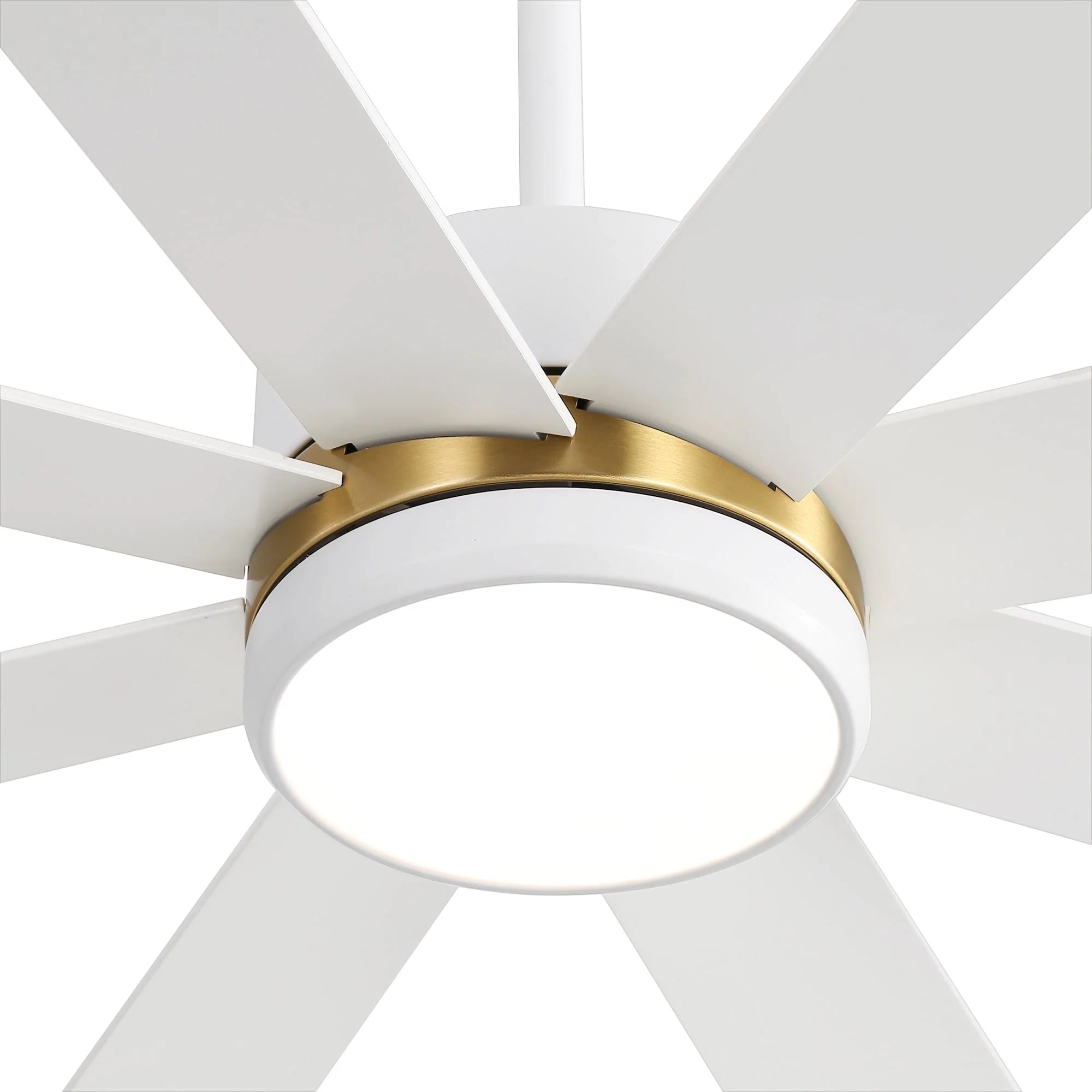 65 Inch 8-Blade Black LED Ceiling Fan with Light and Remote – Image 8