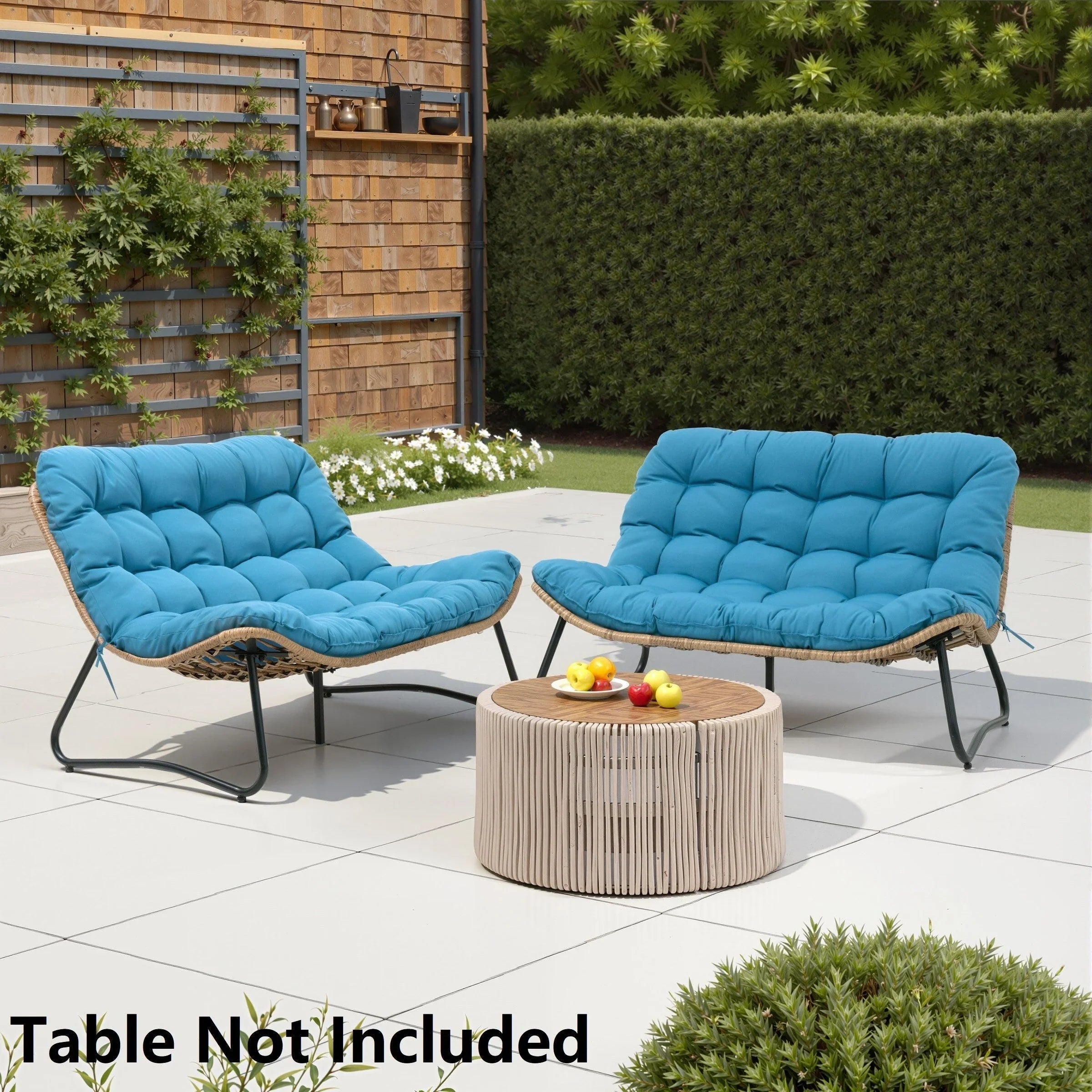 Double Papasan Chair Loveseat with Cushion, All-weather PE Rattan and Metal Frame for Indoor Outdoor – Image 22