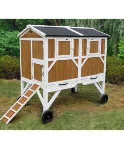 Alternative view of Free-Range Chicken Coop