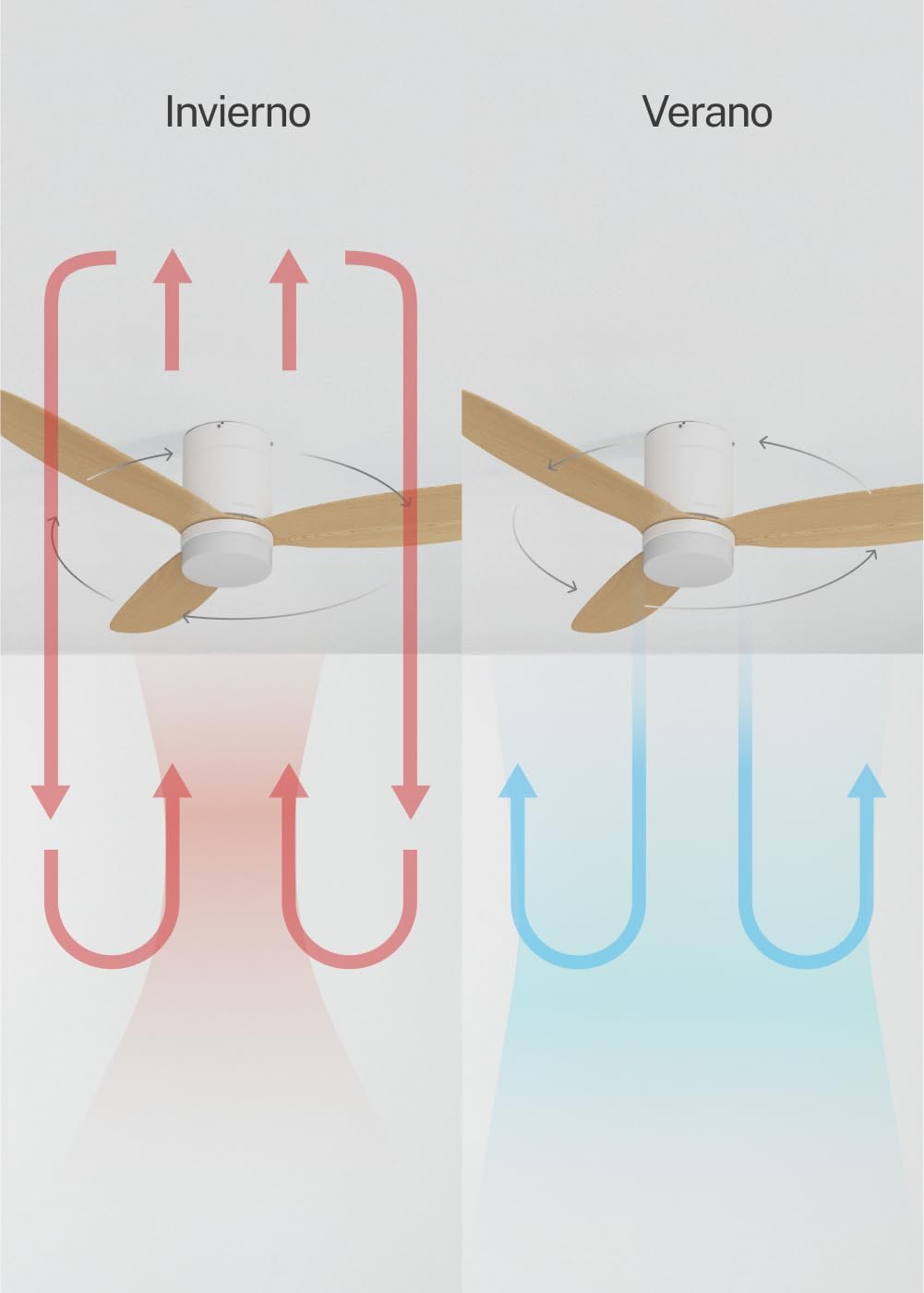 CREATE / WIND LITE/Ventilateur de plafond avec lumière en bois clair avec Wifi et télécommande / 40W, Silencieux, Ø132 cm, 6 vitesses, programmable, fonction été-hiver, lumière LED 3 températures – Image 3