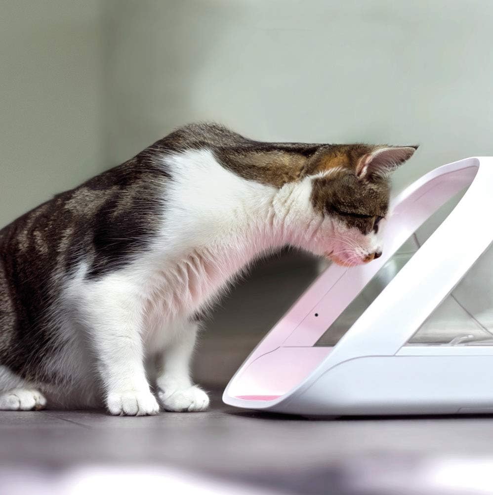 Sure PetCare | Distributeur de Nourriture Connect à Puce électronique SureFeed, Compatible avec Les médaillons d'identification par radiofréquence, contrôle par Application Mobile, Blanc – Image 2