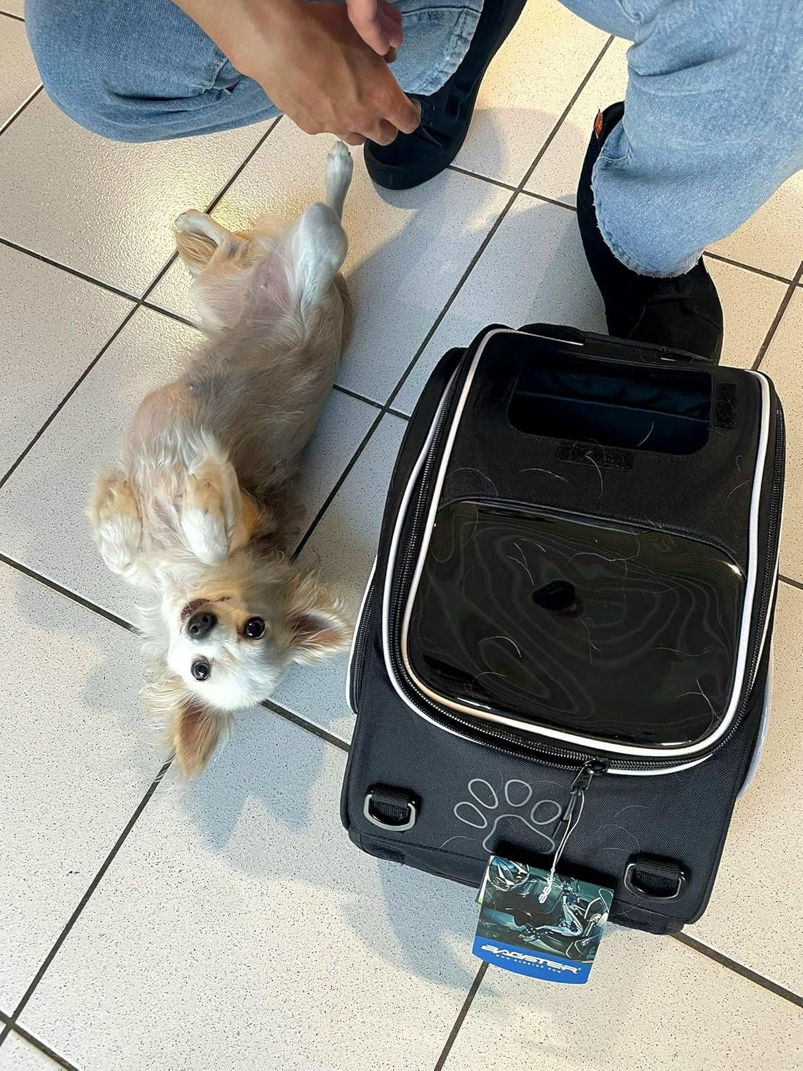 Sacoche de réservoir Bagster Puppy Small 20L Transport Animal de Compagnie Moto – Image 2