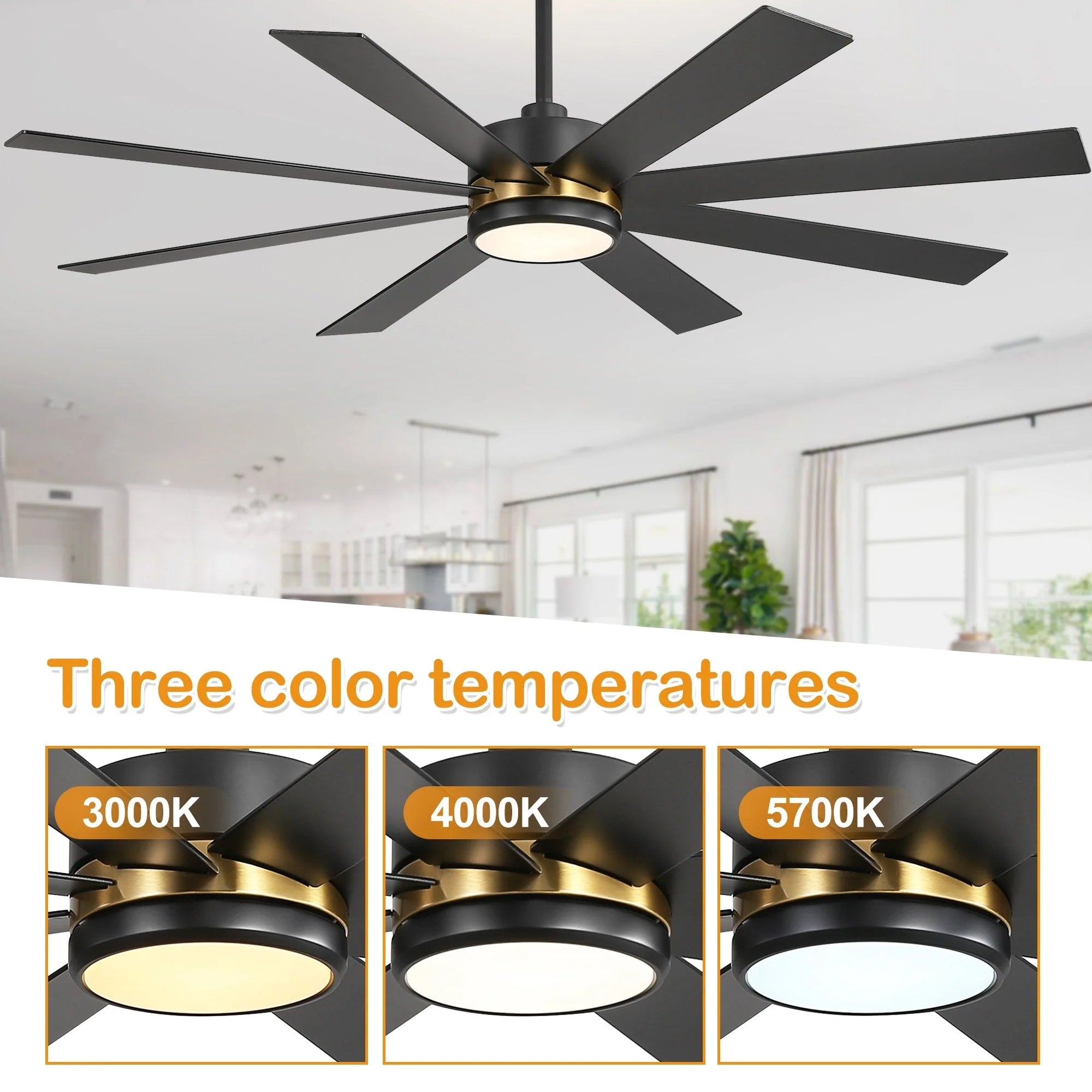65 Inch 8-Blade Black LED Ceiling Fan with Light and Remote – Image 67