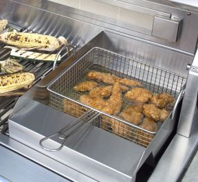 Barbecue à gaz Alfresco de 48 cm (19 pouces) en acier inoxydable avec cuiseur vapeur/friteuse intégré
